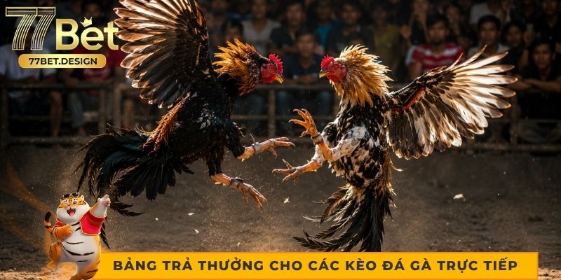 Bảng trả thưởng cho các kèo đá gà trực tiếp